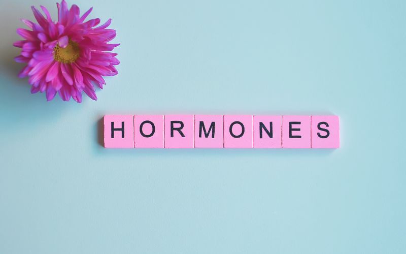 virág hormonok felirattal, felirat: A hormonrendszer állapota befolyásolja a hajunk egészségét is